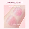 Liquid Blusher